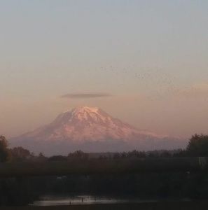 Meet your Posher, Frank